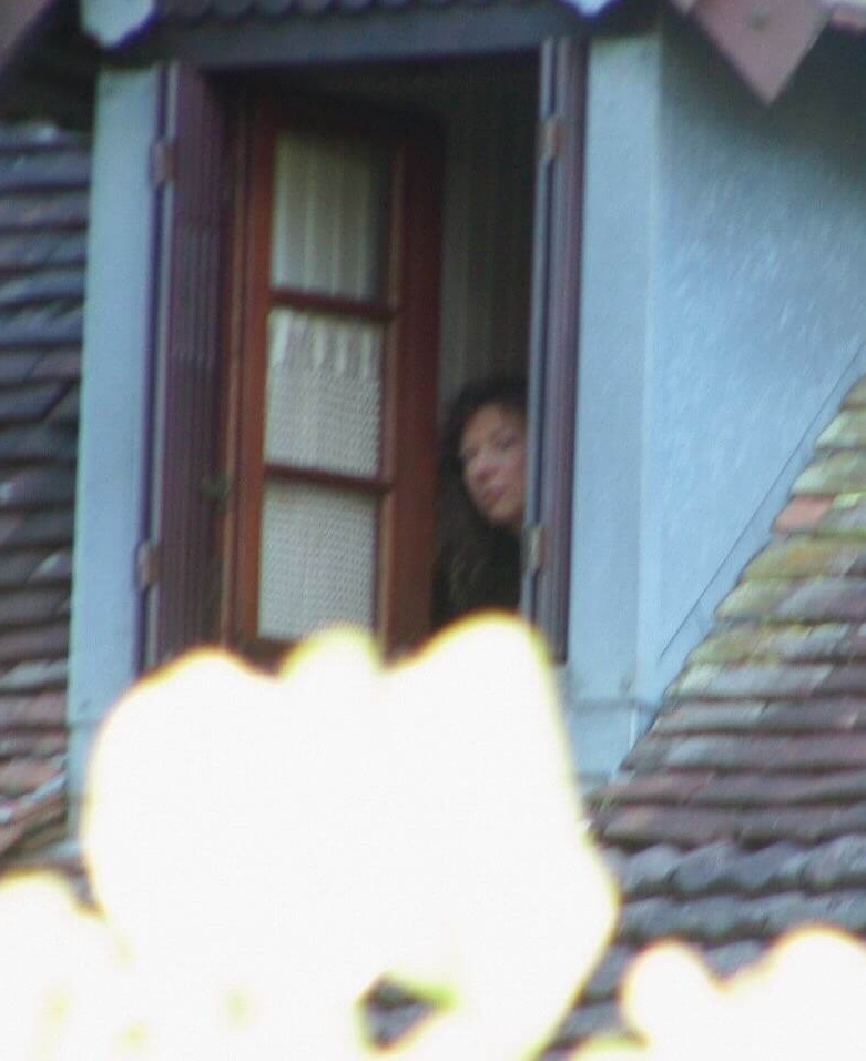 FH chien assis recadré